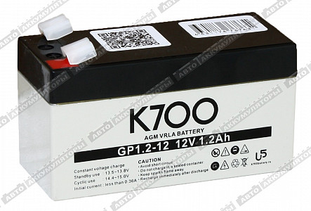 Тяговый аккумулятор GP 1.2-12 - фото