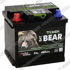 Автомобильный аккумулятор 6СТ-55.1 VLA (куб) - фото